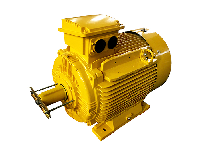 IE4歐洲超高效標(biāo)準(zhǔn)電動機